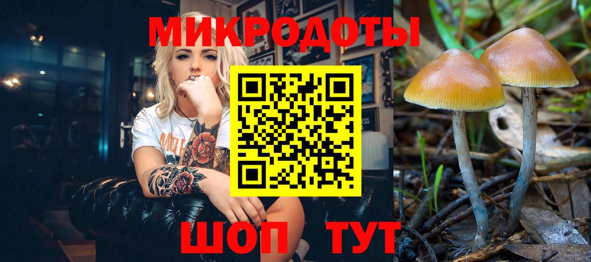 Юрга  Псилоцибиновые грибы MAGIC MUSHROOMS  Вход с VPN  Галлюциногенные грибы MAGIC MUSHROOMS 